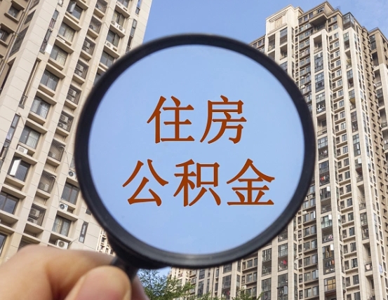 青海单位补缴公积金需要什么手续（单位补缴公积金需要什么资料）